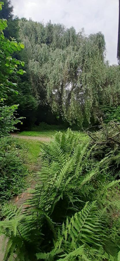 Fewo Im Naturschutzgebiet Hiddenhausen Eksteriør billede