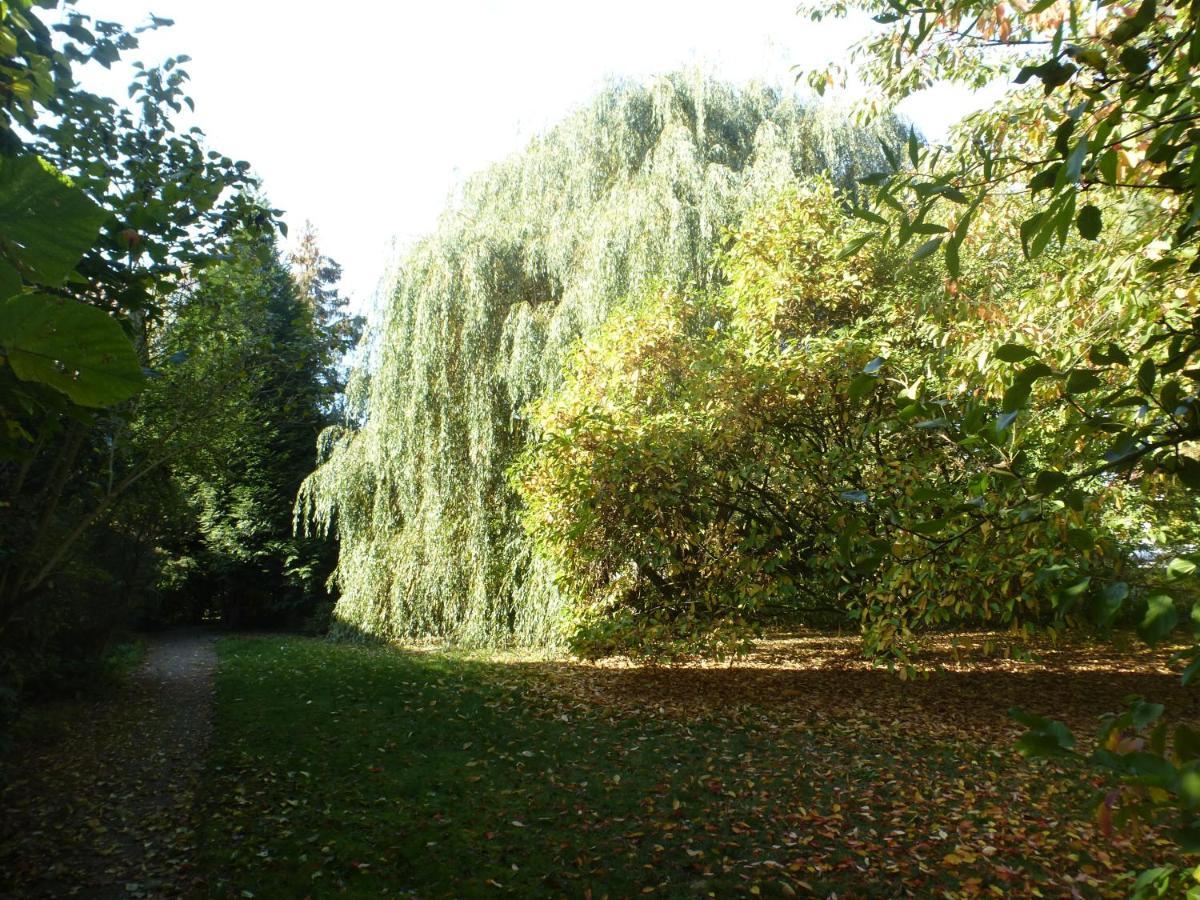 Fewo Im Naturschutzgebiet Hiddenhausen Eksteriør billede
